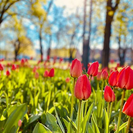 Schoene Aussichten Mitten In Berlin - Il Sole Екстериор снимка